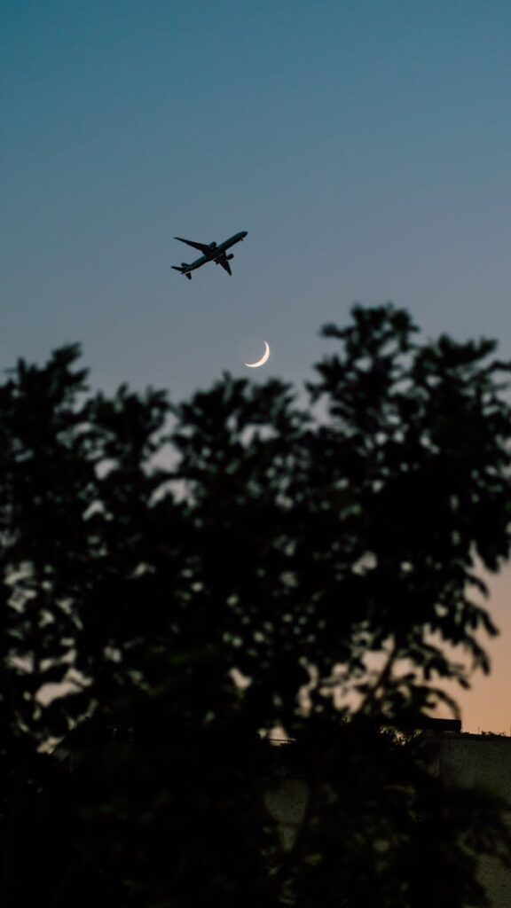 A silhouette of a plane flies over a crescent moon against a dusky twilight sky with a tree line in the foreground.